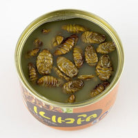 Silkworm Pupa in Sauce