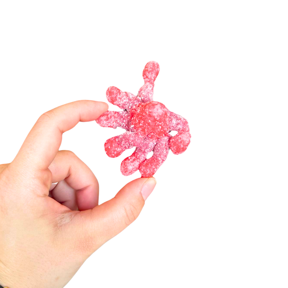 Freeze Dried Sour Octopi Crunchies